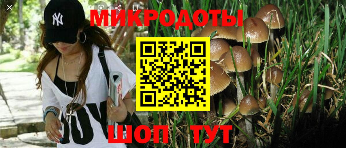 Псилоцибиновые грибы ЛСД  Псилоцибиновые грибы MAGIC MUSHROOMS  Богородицк  Вход с VPN 